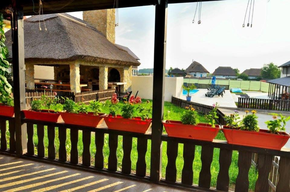Pensiunea Miasor Hotel Murighiol Buitenkant foto