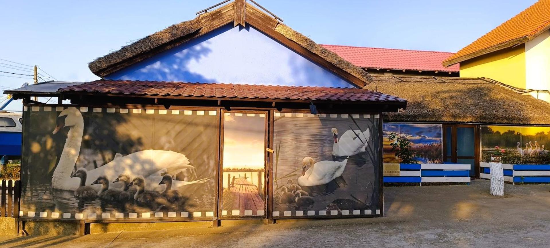 Pensiunea Miasor Hotel Murighiol Buitenkant foto